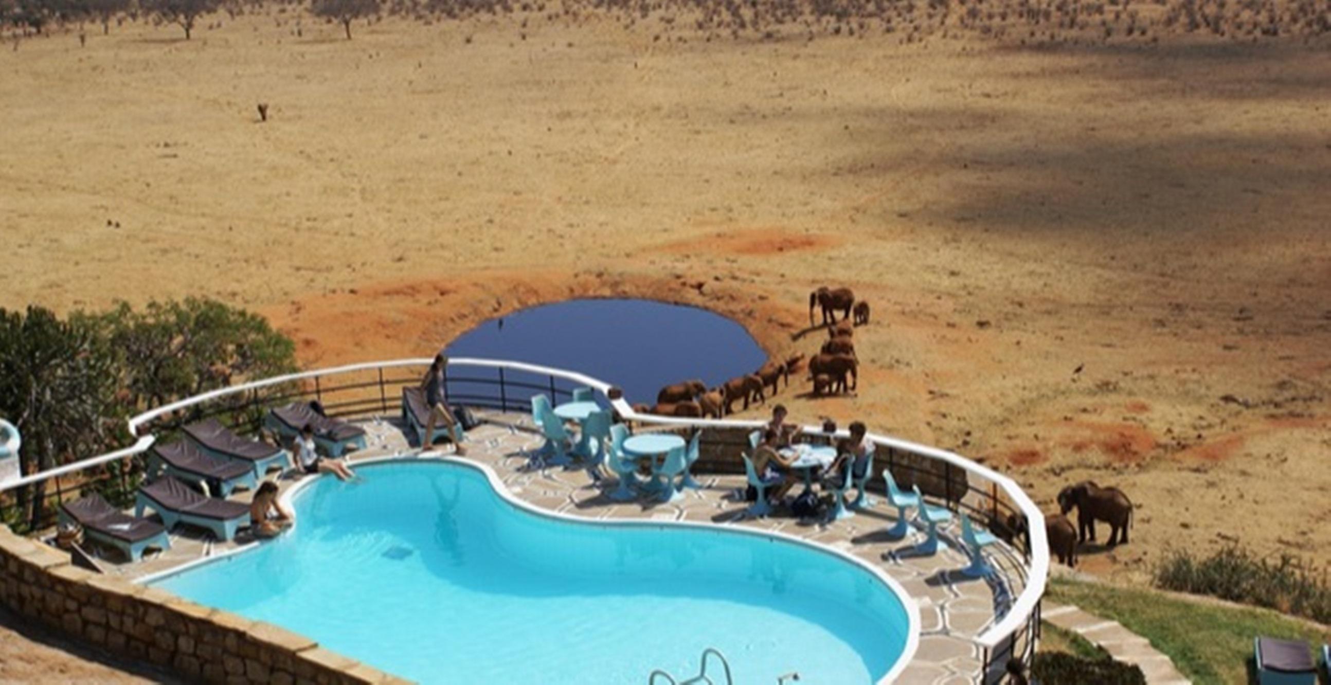 Voi Safari Lodge Dış mekan fotoğraf